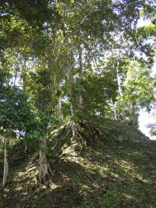 Hidden Ruin at Complex Q, Tikal 