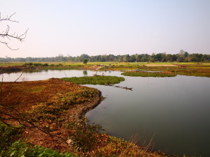 Majuli Island in Assam