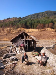 Homestay Nagaland